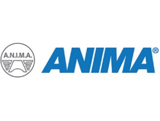 Anima-confindustria-award